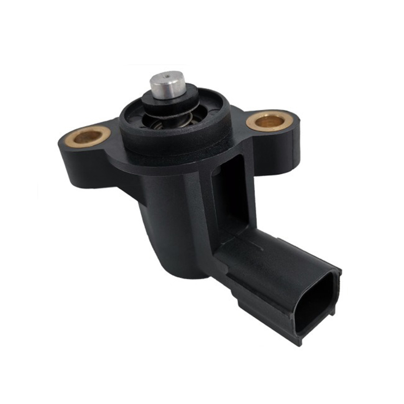 Leerlauf-Luftsteuerventile